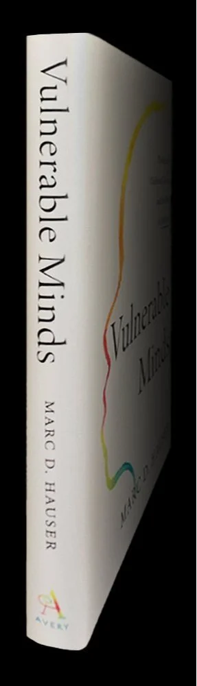 In Vulnerable Minds: The harm of childhood trauma and the hope of